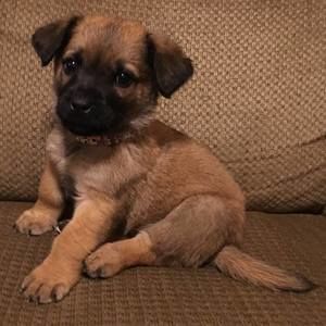 Meet your Posher, Dana